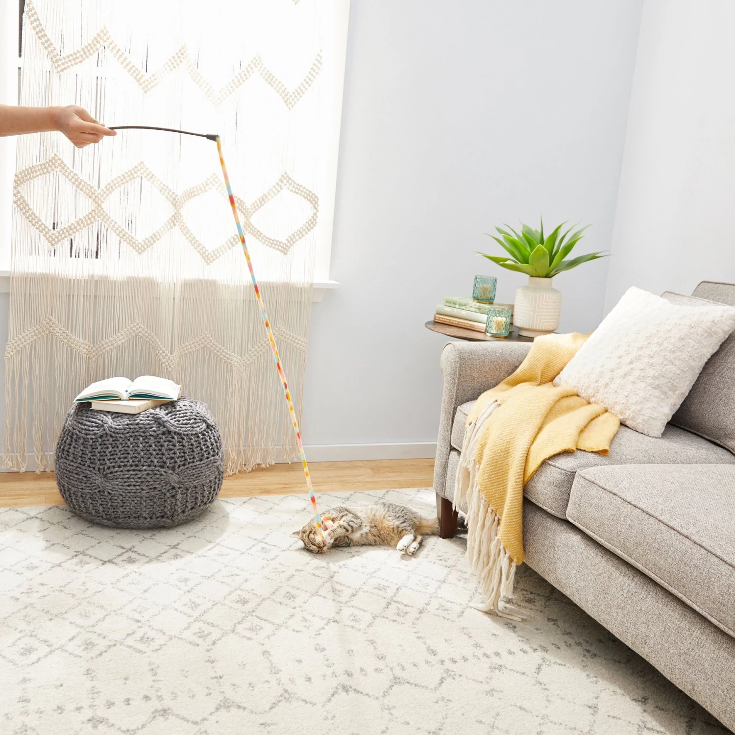 Frisco Fabric Teaser Wand Cat Toy & Frisco Bird With Feathers Teaser Wand Cat Toy With Catnip 6 Frisco Fabric Teaser Wand Cat Toy & Frisco Bird With Feathers Teaser Wand Cat Toy With Catnip - Image 5