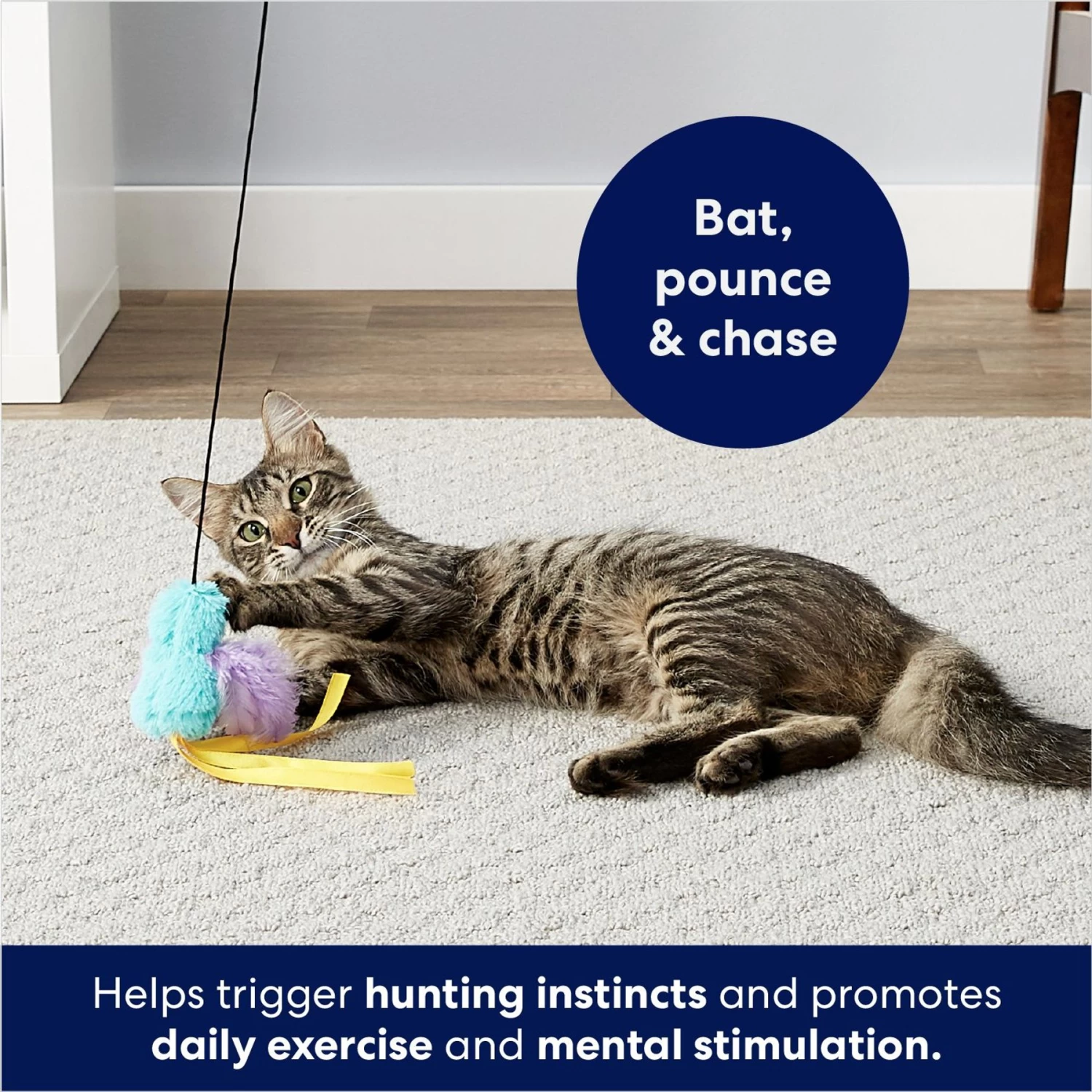 Frisco Fabric Teaser Wand Cat Toy & Frisco Bird With Feathers Teaser Wand Cat Toy With Catnip 10 Frisco Fabric Teaser Wand Cat Toy & Frisco Bird With Feathers Teaser Wand Cat Toy With Catnip - Image 9