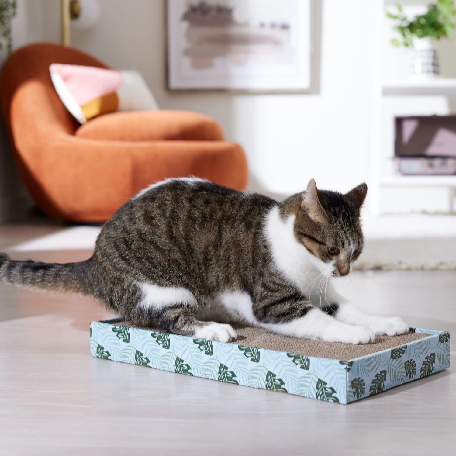 Frisco Double-Wide Cat Scratcher Toy With Catnip & Frisco Double-Wide Cat Scratcher Toy Refill With Catnip, 2 Count 6 Frisco Double-Wide Cat Scratcher Toy With Catnip & Frisco Double-Wide Cat Scratcher Toy Refill With Catnip, 2 Count - Image 4