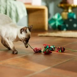 Frisco Holiday Santa Hat & Mistletoe Cat Tracks Cat Toy & Frisco Holiday Mice Cat Toy With Catnip, 5 Count 13 Frisco Holiday Santa Hat & Mistletoe Cat Tracks Cat Toy & Frisco Holiday Mice Cat Toy With Catnip, 5 Count -Frisco 986278 PT7. AC SS1800 V1698257787